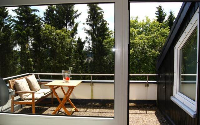 Winterberg Appartement 21048