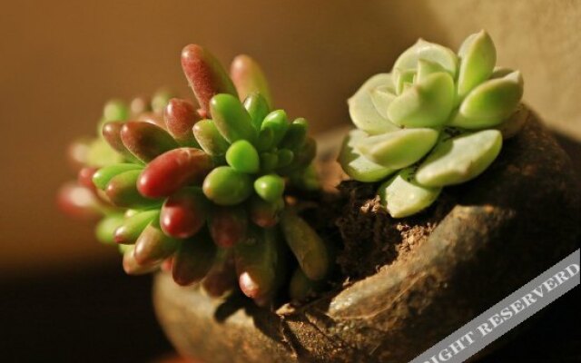 西湖隐庐酒店(杭州雷锋塔店)