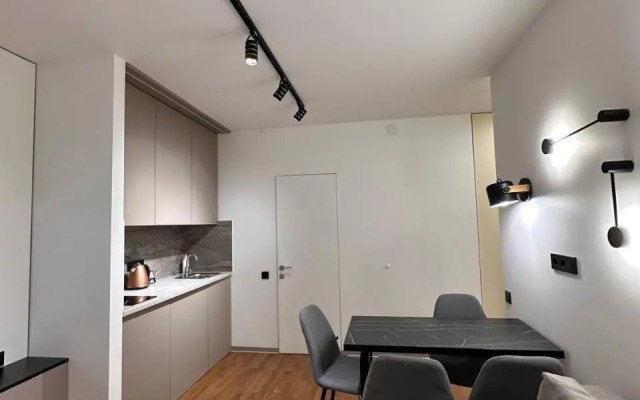 Апартаменти стилізовані на вулиці Під Голоском 15б 108 1