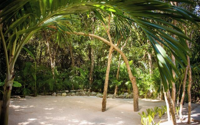 Magical Hotel In Akumal Beach