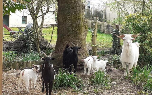 Gîte Cérans-Foulletourte-Cérans, 2 pièces, 6 personnes - FR-1-410-258