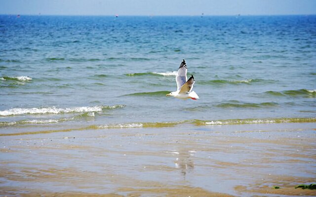 Taean Golden Chive Pension