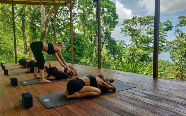 ataraxia bocas del toro