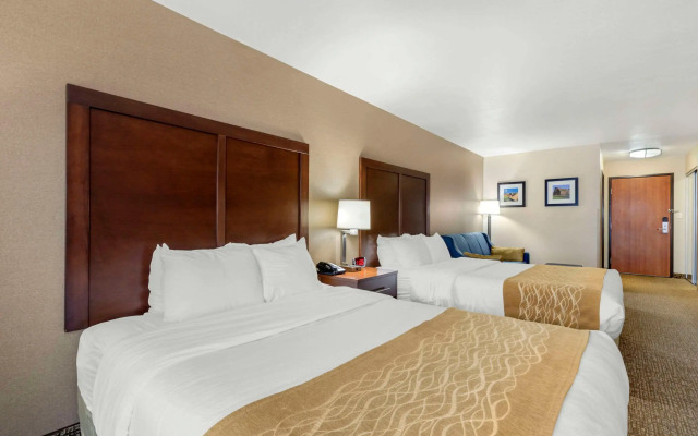Comfort Inn & Suites Mitchell I-90