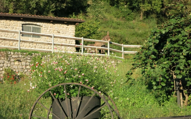 Agriturismo Deviscio