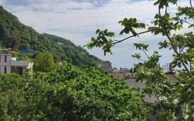 Отель Rosa Hotel Gonio