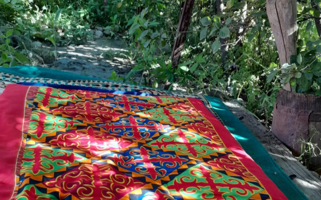 Waterfall in the yard