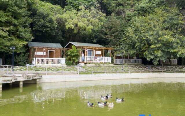 Yingde Fenglin Moke Homestay