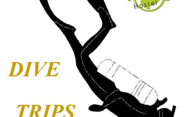 SwordFish Eco-House Peniche