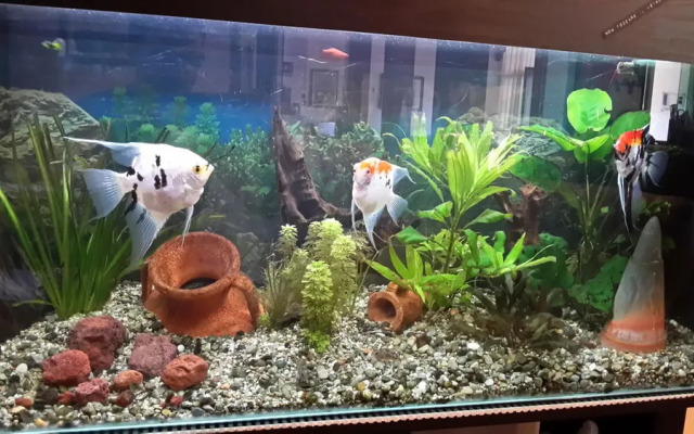 Garden Hotel Tabiano