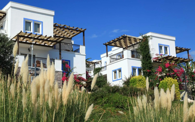 Aktur Residence