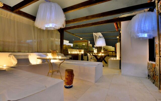 Antonia's House