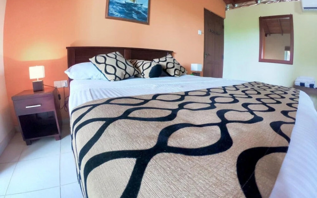 Leather Back Beach Villa
