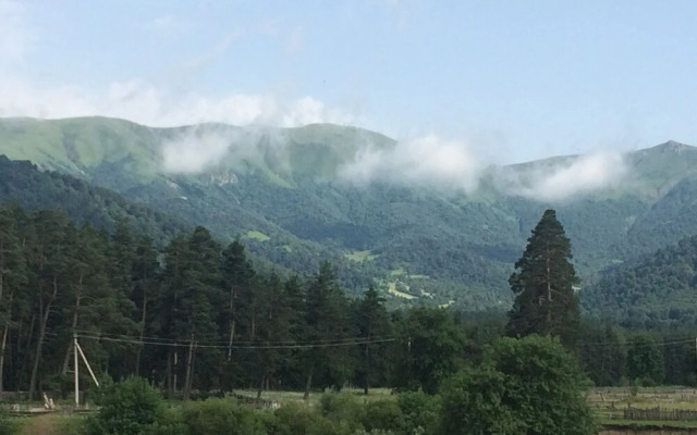 Mount view