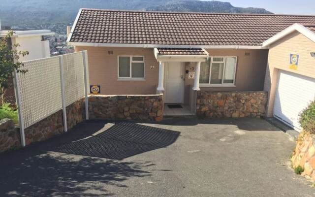 Watching Waves Heron Chase