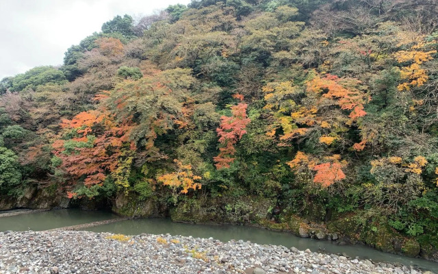 SyunkaSyuutou - Vacation STAY 53636v