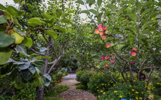 Yuanfangdejia Guesthouse