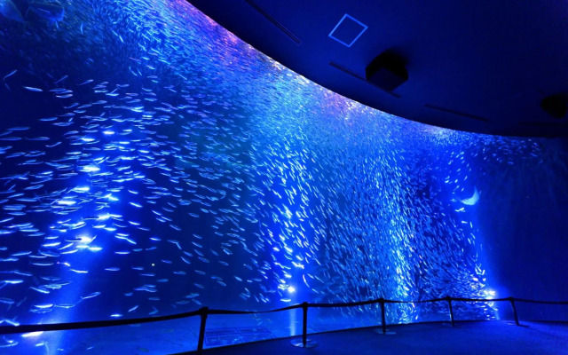 Kuwana City Hotel