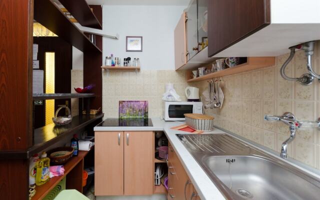Apartments Branka