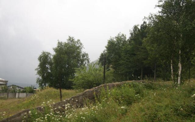 HQ of Nove Sujashvili