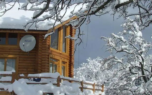 The Green Pine Chalet