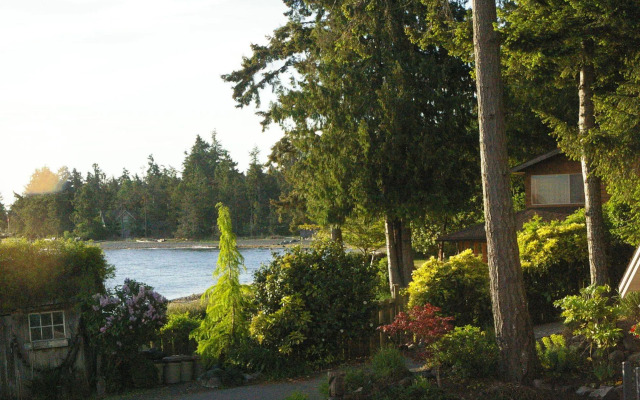 Shady Shores Beach Resort