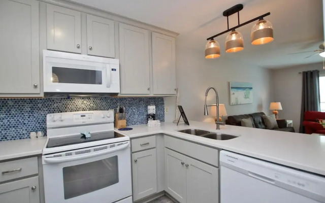 Sand Dollar by Youngs Suncoast