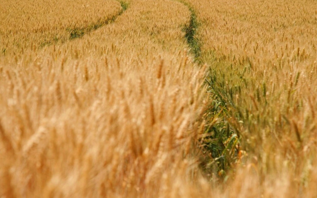 Restored Farmhouse in Wijlre With two Terraces