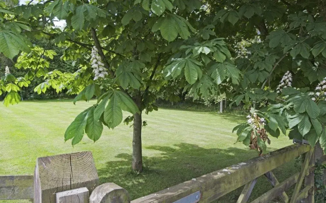 Marsh House Farm