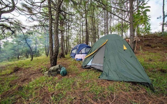 Camping de Los Peroles