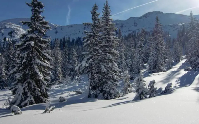 Ferienwohnung Mörsbachblick