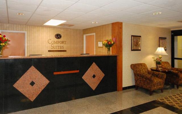 Comfort Suites Arena