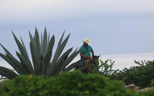 Troncones Point Hostel