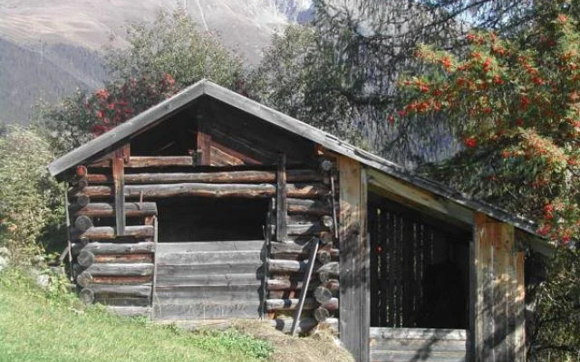 Bauernhof Lex - Urlaub am Bauernhof