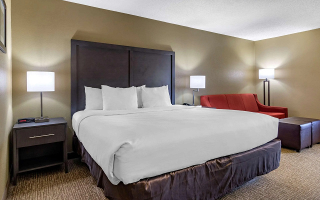 Comfort Inn Opelika - Auburn