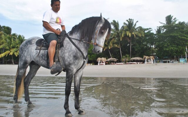 Hotel Locanda Samara Beach