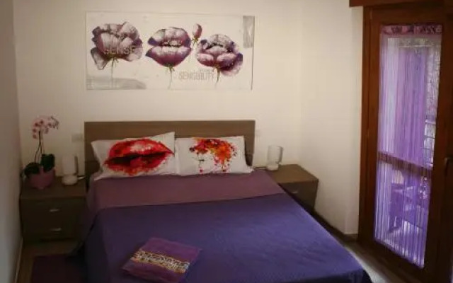 B&B SheLisa
