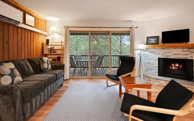 Ski Condo 110 1 Bedroom Condo