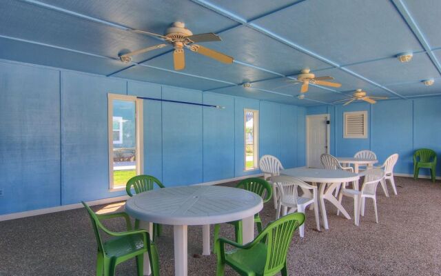 Coconut Charlies 135 by RedAwning