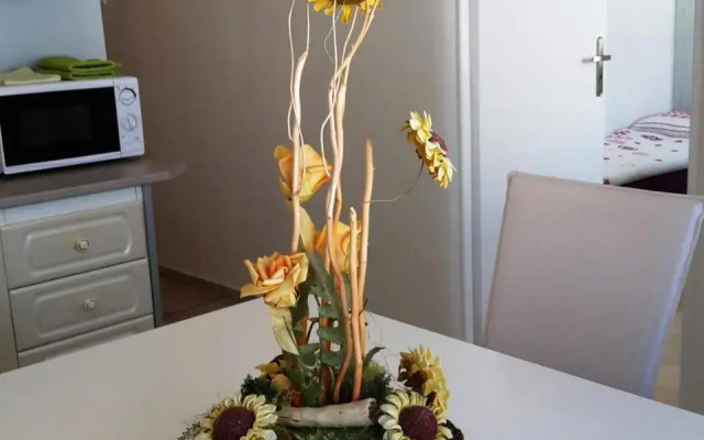 Apartmán BYSTRICA