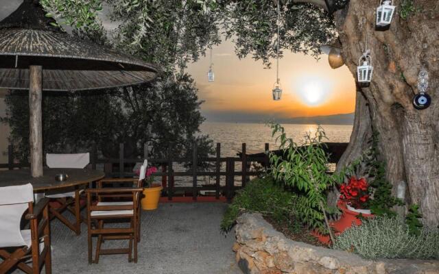 Studios Plaka