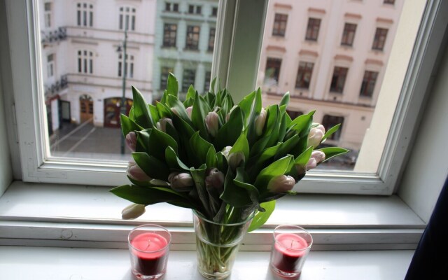 Plac Dominikanski by HASHTAG