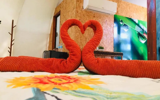 Shenanigans Glamping Resort