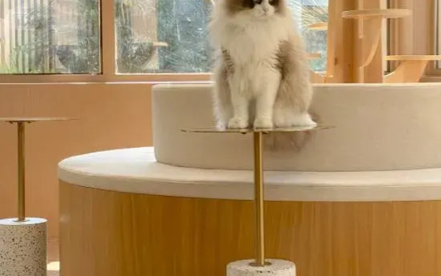 Guangzhou Jingyuejia Homestay (Zengcheng Wanda Plaza)