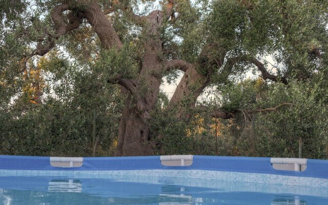 Trullo del Falegname Ostuni by Typney