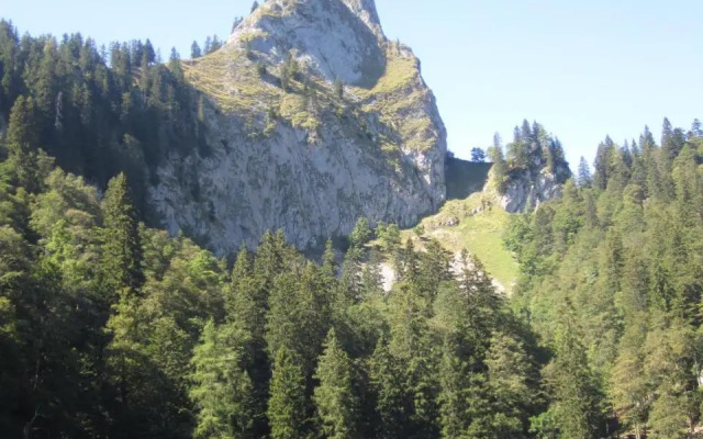 Bauernhof Paulbauer
