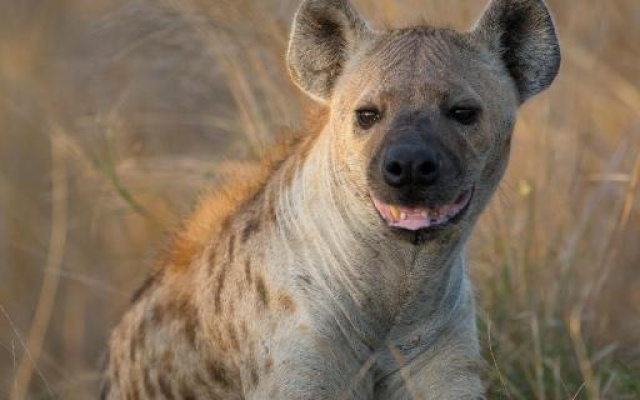 Southern Sands Eco Lodge