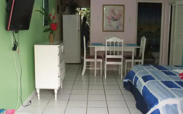 Chrisanns Beach Resort Apt 21