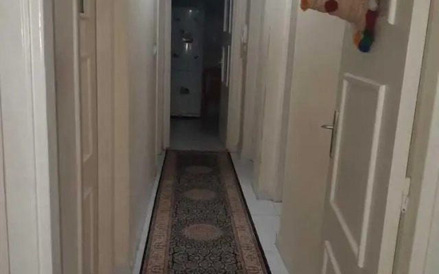 Nice Apartment