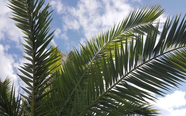 Rooms Milena - Triple Room With External Private Bathroom